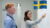 Learn Swedish language: Business Professionals & Job Seekers