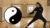learn The foundations Of TAI CHI