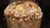 Learn to Bake Panettone