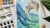 Learn to paint dolphins in watercolours. Seascape