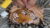 Leather carving course – Tiger