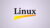 Linux Administration 2020: Become a SysAdmin And Get a Job!