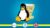 Linux BASH Scripting (course with PDF handbook)