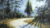 Loose Vibrant Painting – Forest Landscape – Oil or Acrylic