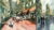 Loose Watercolor Painting – Streetscapes