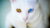 Making Handmade Jewelry for Your Pet