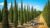 Master Cypress in 15 minutes a day