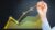 Mastering US GAAP: A Guide to Financial Reporting Standards