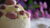 Modern Ice Cream cakes by Master chef Lim on APCA chef onlin