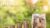 Nonprofits Financial Innovation & Impact Investing COVID-19