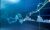 NYIF: Intro to Stock Trading