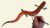Paint Realistic Watercolors – How to Paint a Salamander