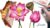 Paint Realistic Watercolour and Botanicals – LOTUS