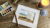 Painting a Sand Dollar Beach Scene with Watercolor