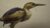 Painting an Allegory: Concept to Canvas