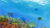 Painting Wild Places with Watercolors: Aqua World