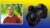 Panasonic S1 / S1R Crash Course Training Tutorial Video