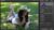 Photography Retouching: Photo Editing for Photographers