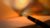 Poetry Primer – Survey of Poetic Writing Styles and Projects