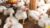 Poultry Farming: Broiler Chicken Production