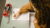Practice Quiz -CPIM( Certified in Planning & Inventory Mgmt)