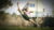 Pro Kicks | Learn Jump Spin Kicks For Martial Arts Tricking
