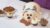 Pup Cake Party