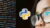 Python Exam Success Unlocked: 4 Test Bundle