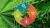 Quality Management Systems:Management and Control of Quality