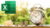 Real Estate Financial Analysis and Modeling