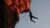 Real Risk Management PMI-RMP 2022 practice exams