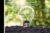 Renewable Energy: Achieving Sustainability through Bioenergy – Online Course
