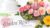 Romantic Garden Roses