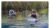 Saugeen Kayakers – Watercolour & Pen Workshop