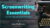 Screenwriting Essentials