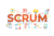 Scrum Master :Get Ready for Certification Exam in 30 minutes