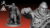 Sculpt 3D Printable Rogues with Zbrush and Autodesk Maya