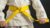 Six Sigma Yellow Belt – 500 Exam Practice Questions