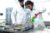 Soil Chemistry and Testing Procedures
