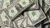 Spreadsheet Models: Cashflow, Net Present Value and Pricing