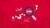 SPSS Beginners: Master SPSS