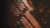 Steganography