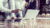 Stock Market Fundamental Analysis: Company & Stock Valuation