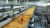 Supply Chain Management : Food Processing Industry