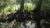 Sustainable, Green and Climate Finance