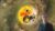 Taoism Level 2: Raise in Vibration