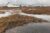 Thawing Permafrost: Science and Environmental Justice in the Arcticear
