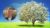 The Abundance Code: Unlock Your Wealth Mindset
