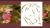 The Art and Science of Conscious Living: Protocol & Process