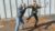 The Best of Krav Maga (Yellow-Black Belts) by David Kahn